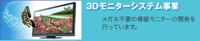 3Dモニターシステム事業